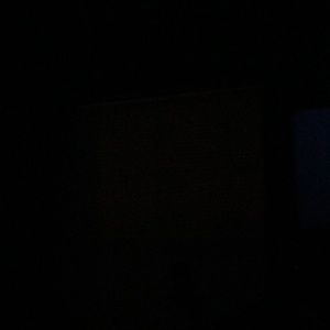 Meet your Posher, Brady